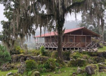 Gómez Farías, refugio natural en Tamaulipas