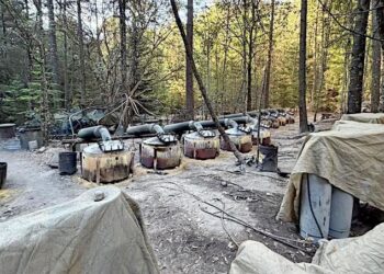 Operativos de la CIA en Chihuahua desatan crisis por soberanía y tensiones con EU