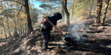 Fortalece Seguridad Pública protección y combate a delitos ambientales