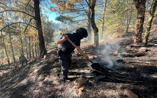 Fortalece Seguridad Pública protección y combate a delitos ambientales