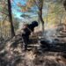 Fortalece Seguridad Pública protección y combate a delitos ambientales