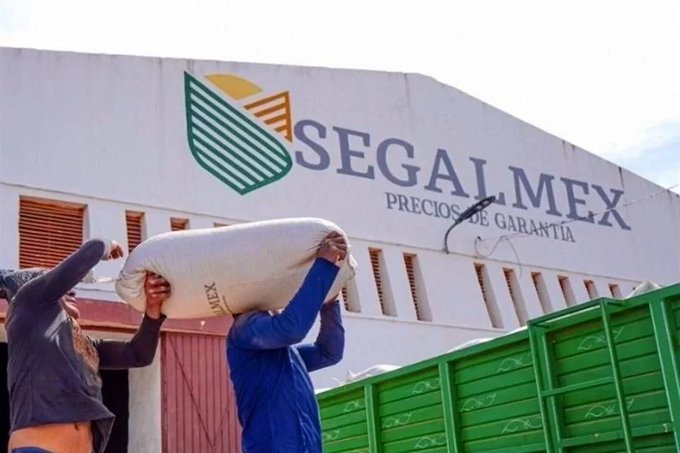 Segalmex bajo la lupa: nuevas acusaciones reavivan el escándalo por desvíos millonarios