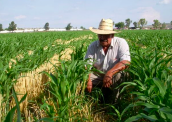 Gobierno condona y reestructura deudas de la Financiera Nacional para miles de productores