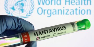 Crece vigilancia internacional por brote de hantavirus en crucero; OMS descarta riesgo generalizado