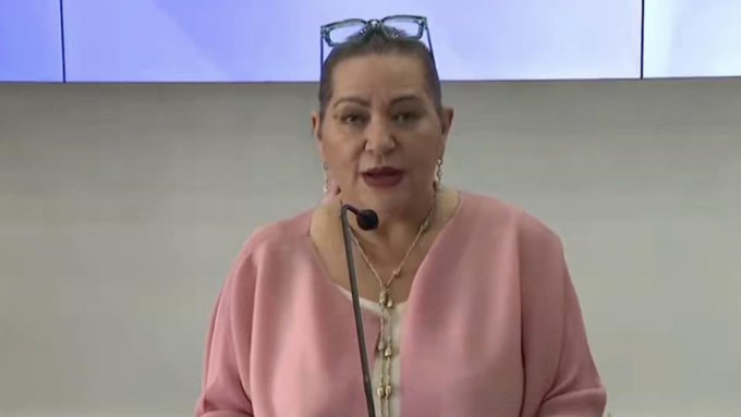 Guadalupe Taddei rechaza que el INE cancele candidaturas por presuntos vínculos criminales