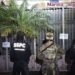 Golpe al narcotráfico en Jalisco: aseguran laboratorio con fentanilo y precursores para miles de dosis