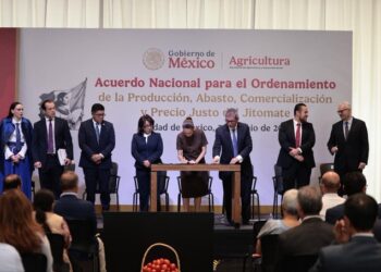 Sheinbaum impulsa acuerdo nacional para garantizar el abasto de jitomate y reducir su precio