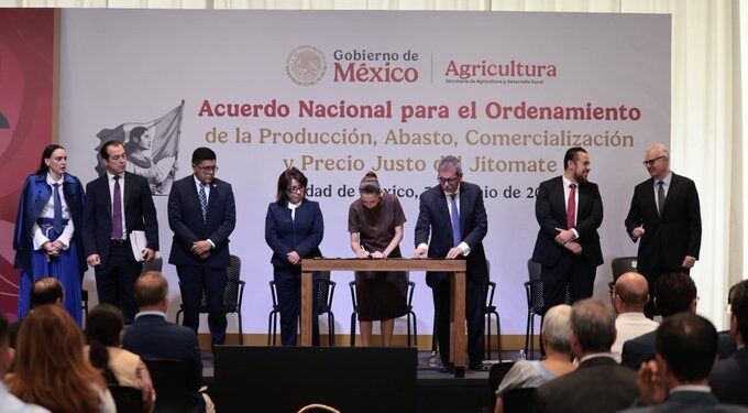 Sheinbaum impulsa acuerdo nacional para garantizar el abasto de jitomate y reducir su precio