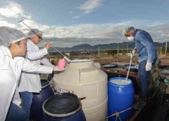Leche para el Bienestar normaliza el acopio en Veracruz tras resolver situación de productores suspendidos