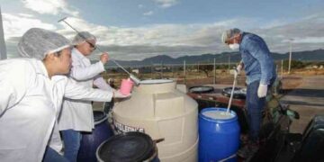 Leche para el Bienestar normaliza el acopio en Veracruz tras resolver situación de productores suspendidos