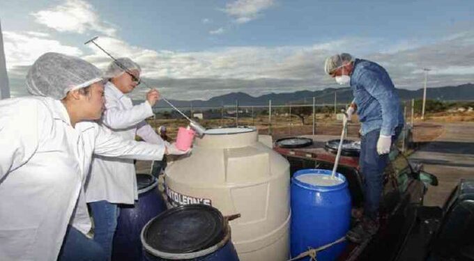 Leche para el Bienestar normaliza el acopio en Veracruz tras resolver situación de productores suspendidos