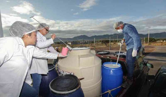 Leche para el Bienestar normaliza el acopio en Veracruz tras resolver situación de productores suspendidos