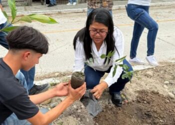 Conmemoran Día Mundial del Medio Ambiente con jornadas de reforestación