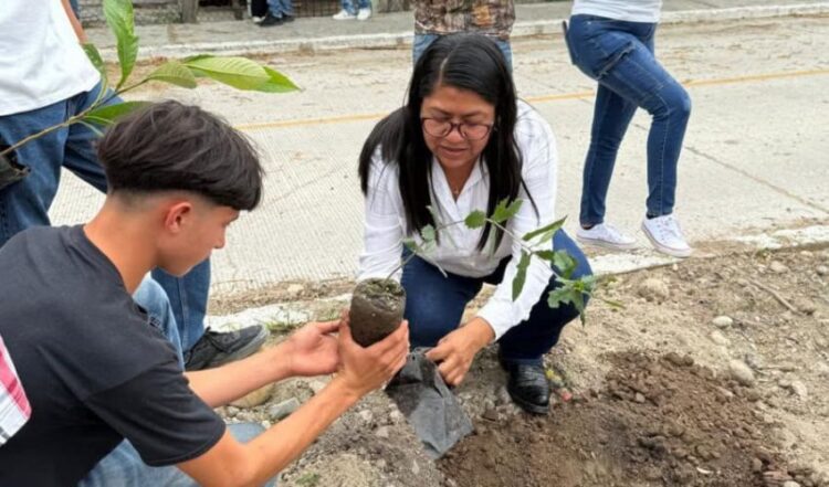 Conmemoran Día Mundial del Medio Ambiente con jornadas de reforestación
