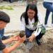 Conmemoran Día Mundial del Medio Ambiente con jornadas de reforestación