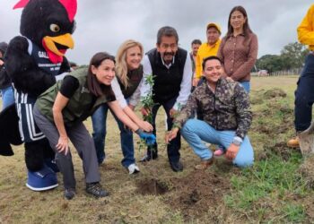 Asegura Gobierno del Estado reforestaciones con impacto duradero