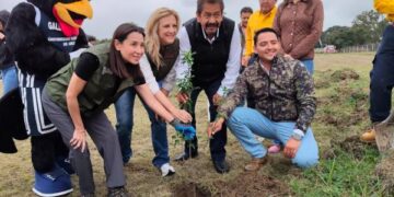 Asegura Gobierno del Estado reforestaciones con impacto duradero
