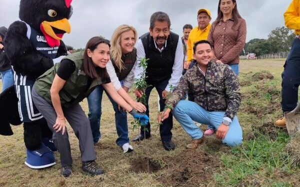 Asegura Gobierno del Estado reforestaciones con impacto duradero