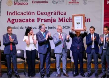 Aguacate Franja Michoacán obtiene indicación geográfica y blindaje legal para su exportación internacional