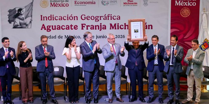 Aguacate Franja Michoacán obtiene indicación geográfica y blindaje legal para su exportación internacional