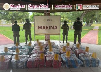 Aseguran más de una tonelada de cocaína en buque mercante en Lázaro Cárdenas; decomiso supera los 250 mdp