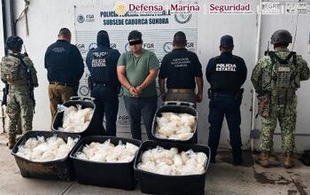 Decomiso millonario en Sonora: incautan 200 kilos de metanfetamina durante revisión carretera
