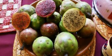 Expo-Feria de Pitahaya y Xoconostle, fomenta llegada de turismo en Huitziltepec