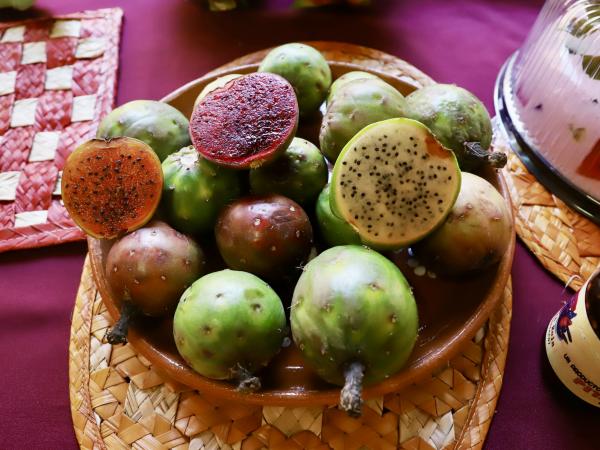 Expo-Feria de Pitahaya y Xoconostle, fomenta llegada de turismo en Huitziltepec