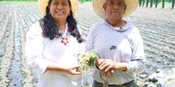 Puebla fortalece la producción de flor de cempasúchil para Día de Muertos