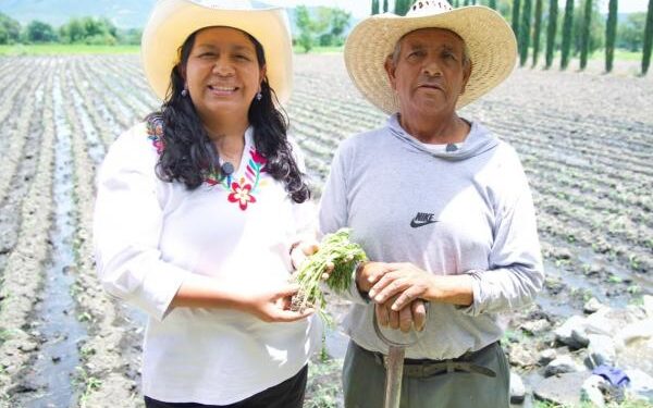 Puebla fortalece la producción de flor de cempasúchil para Día de Muertos