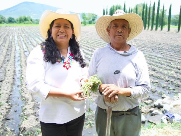 Puebla fortalece la producción de flor de cempasúchil para Día de Muertos