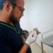 SEDIF resguarda a familia felina y protege aves en Parque del Arte