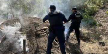 En distintas intervenciones, SSP realizó acciones para la preservación del patrimonio natural