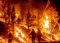 Incendios forestales alteran las elecciones primarias en Washington; más de 65 mil personas han sido evacuadas