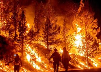 Incendios forestales alteran las elecciones primarias en Washington; más de 65 mil personas han sido evacuadas