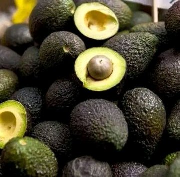 Exportaciones de aguacate de Michoacán quedan en pausa tras suspensión de inspecciones del USDA