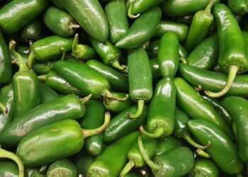 Estados Unidos relaciona brote de salmonela con jalapeños de Sinaloa; suman 345 contagios