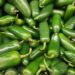 Estados Unidos relaciona brote de salmonela con jalapeños de Sinaloa; suman 345 contagios