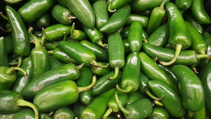 Estados Unidos relaciona brote de salmonela con jalapeños de Sinaloa; suman 345 contagios