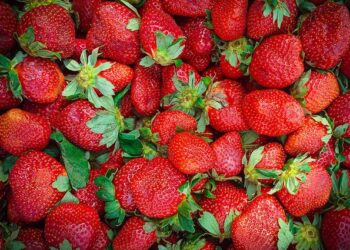 Fresa mexicana enfrenta cuotas de hasta 5.28% en EU; México rechaza acusación de dumping