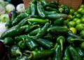 COFEPRIS no detecta Salmonella en jalapeños de empacadora de Nuevo León