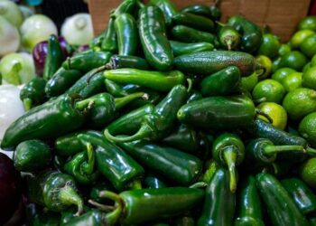 COFEPRIS no detecta Salmonella en jalapeños de empacadora de Nuevo León