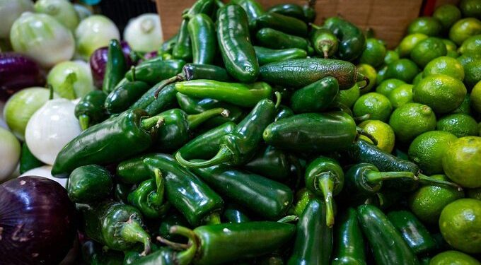 COFEPRIS no detecta Salmonella en jalapeños de empacadora de Nuevo León