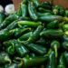COFEPRIS no detecta Salmonella en jalapeños de empacadora de Nuevo León