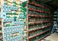 FGR, Marina y SSP aseguran inmueble presuntamente utilizado para minería de criptomonedas