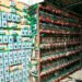 FGR, Marina y SSP aseguran inmueble presuntamente utilizado para minería de criptomonedas