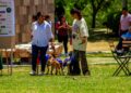 Gobierno del Estado fomenta el bienestar con segunda edición de Adopta Fest
