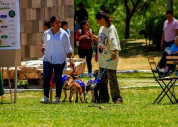 Gobierno del Estado fomenta el bienestar con segunda edición de Adopta Fest