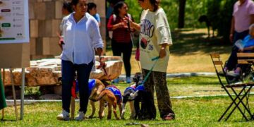 Gobierno del Estado fomenta el bienestar con segunda edición de Adopta Fest
