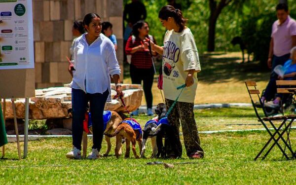 Gobierno del Estado fomenta el bienestar con segunda edición de Adopta Fest